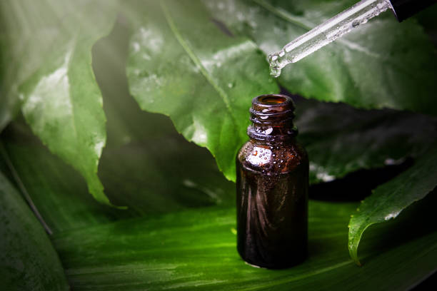 Amber dropper bottle resting on glossy green leaves illustrating the benefits of tea tree products for skin
