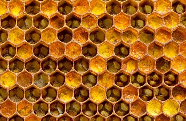 Close up honeycomb hexagonal cells with yellow royal jelly deposits illustrating royal jelly liquid vs powder comparison