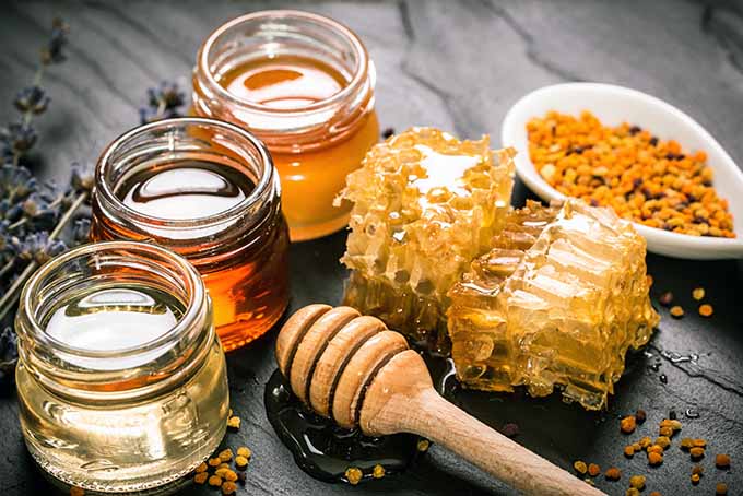 Manuka honey MGO comparison guide showing jars of honey honeycomb pollen granules and wooden dipper