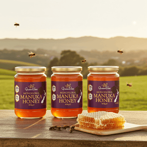 Queen Bee Manuka Honey MG 263+ 454g - Triple Pack