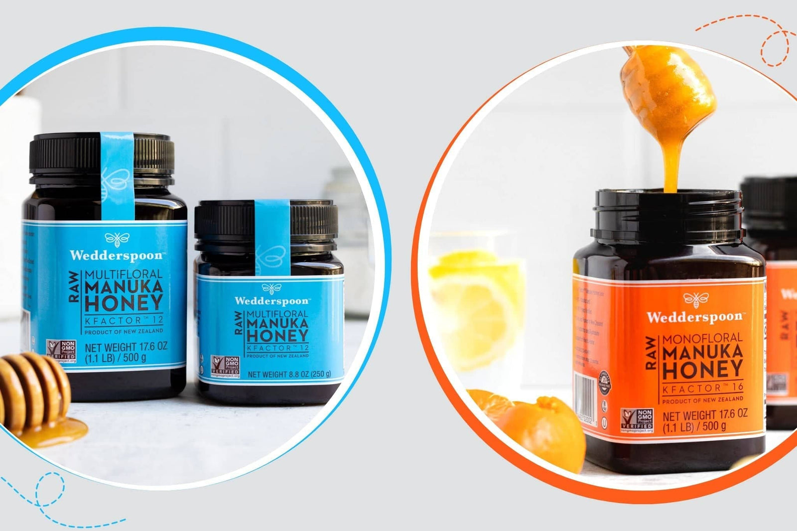 Comparison of Wedderspoon Manuka honey jars with honey dipper asking what is the difference between KFactor 12 and KFactor 16