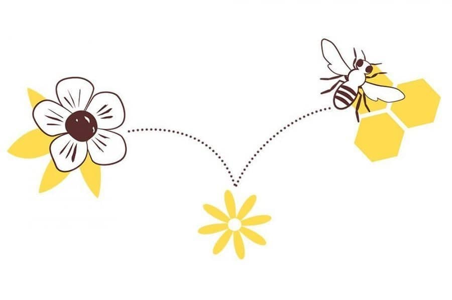 Is your Manuka Honey Genuine? - Manuka Honey Direct