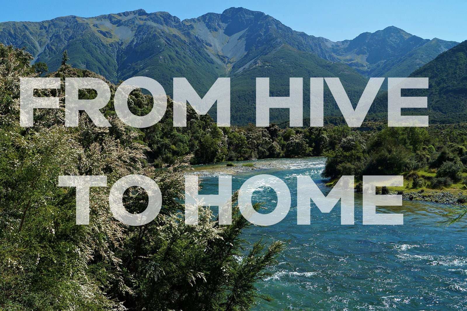 Wedderspoon Manuka Honey From Hive to Home - Manuka Honey Direct