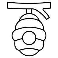 Fully traceable from hive to home