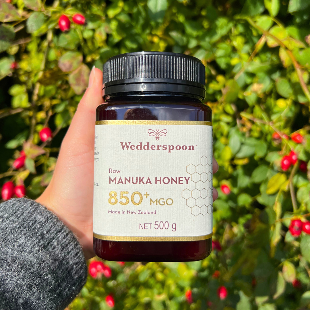 Wedderspoon Raw Manuka honey 850 MGO 500g jar held in hand against green bush with red berries